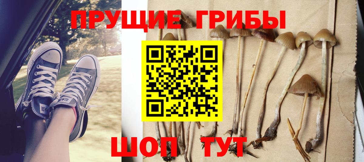 Галлюциногенные грибы Cubensis  Псилоцибиновые грибы ЛСД  Красный Сулин  Вход с VPN 